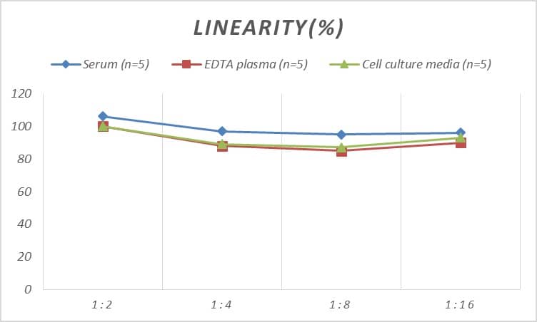 Rat Smad2 ELISA Kit (Colorimetric)