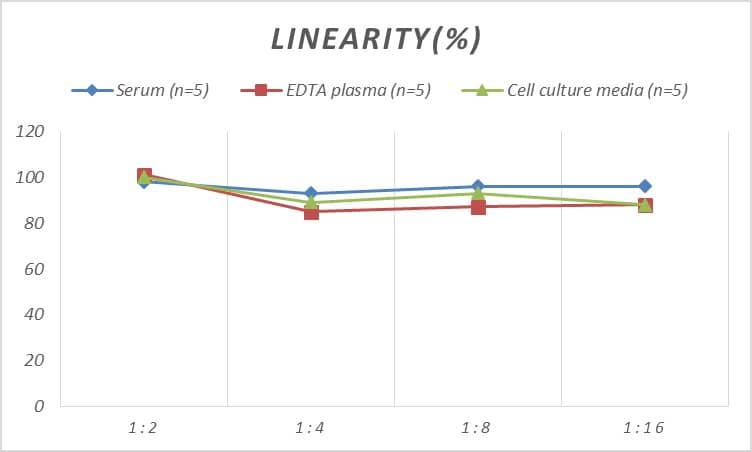 Human Smad2 ELISA Kit (Colorimetric)