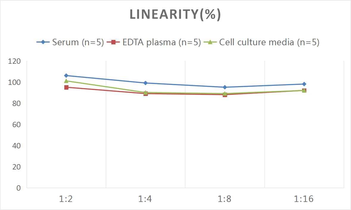 Rat Smad3 ELISA Kit (Colorimetric)