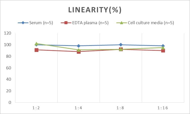 Human Smad3 ELISA Kit (Colorimetric)