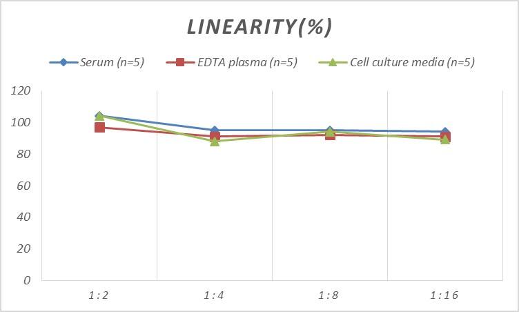 Mouse Smad4 ELISA Kit (Colorimetric)