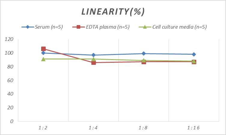 Rat Smad4 ELISA Kit (Colorimetric)