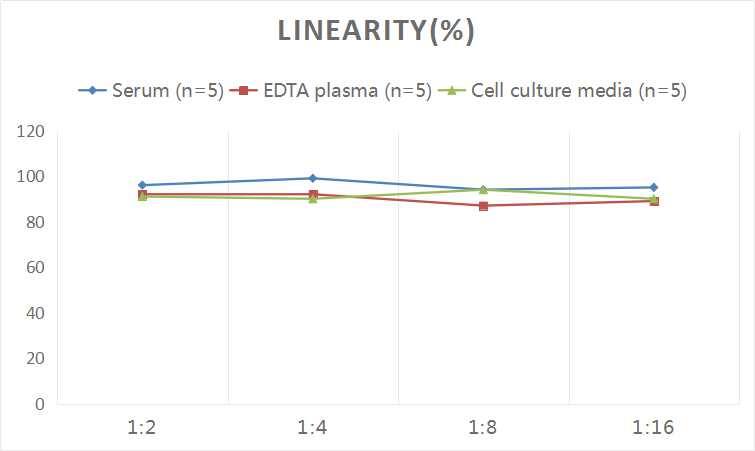 Human Smad4 ELISA Kit (Colorimetric)