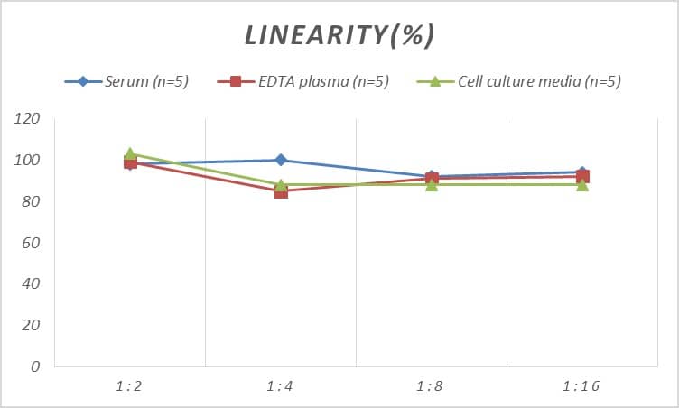 Human SMAD6 ELISA Kit (Colorimetric)