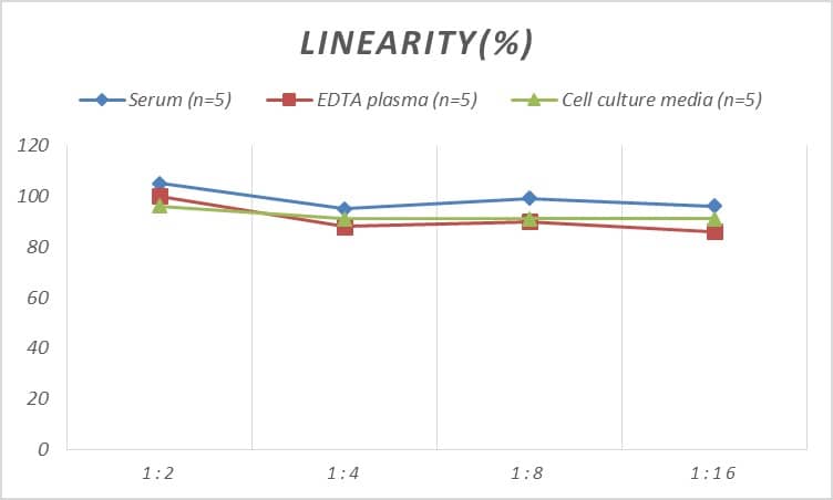 Rat Smad7 ELISA Kit (Colorimetric)