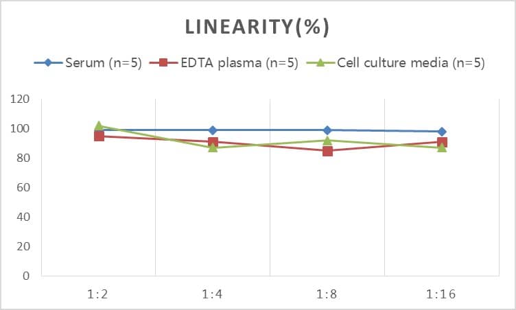 Human Smad7 ELISA Kit (Colorimetric)