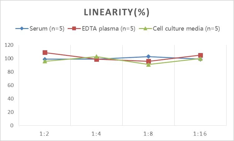 Rat Procollagen type III N-terminal Propeptide ELISA Kit (Chemiluminescence)