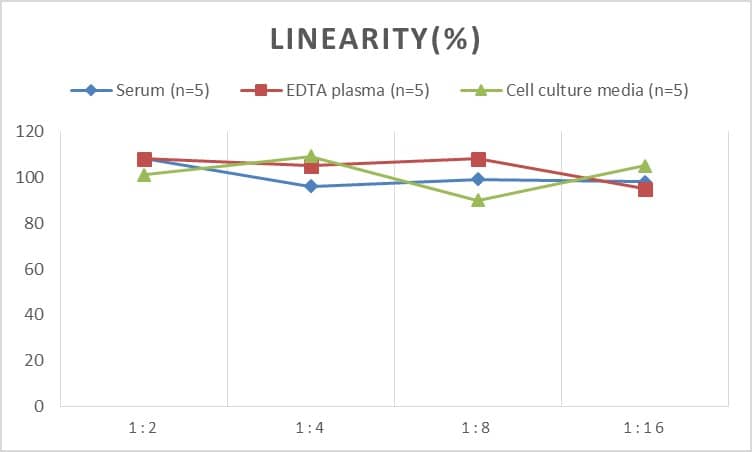 Mouse TRACP/PAP/ACP5 ELISA Kit (Chemiluminescence)