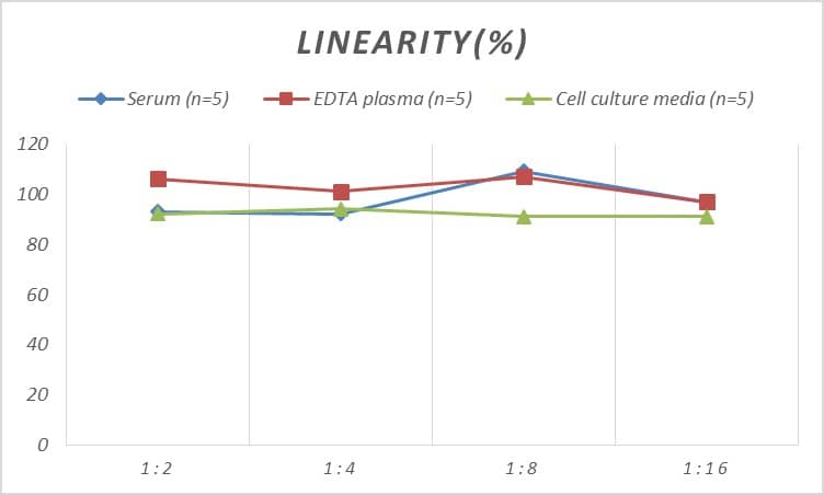 Rat TRACP/PAP/ACP5 ELISA Kit (Chemiluminescence)