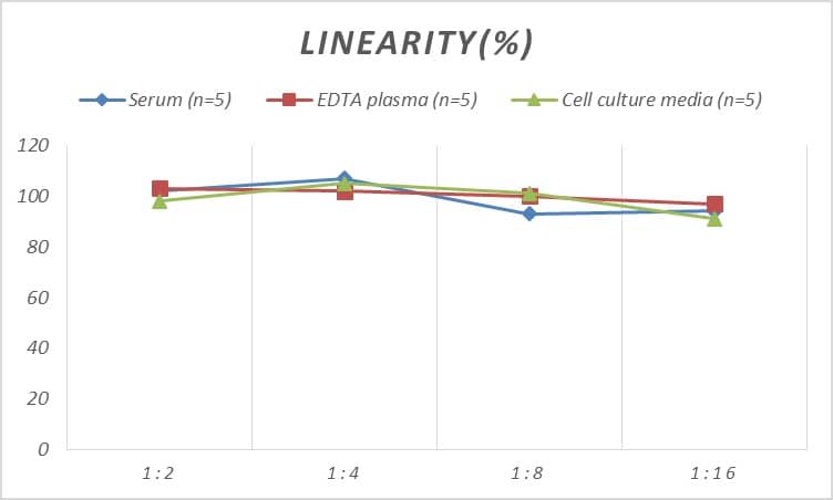 Rat CTX-1 ELISA Kit (Chemiluminescence)