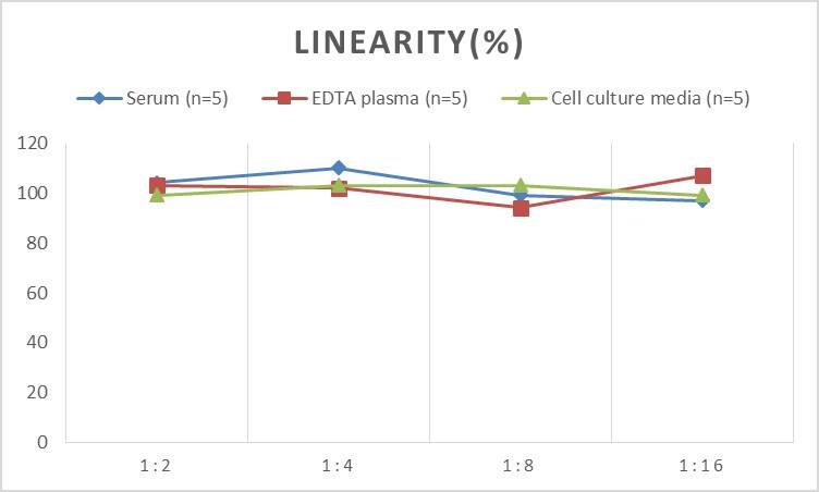 Human TLR2 ELISA Kit (Chemiluminescence)