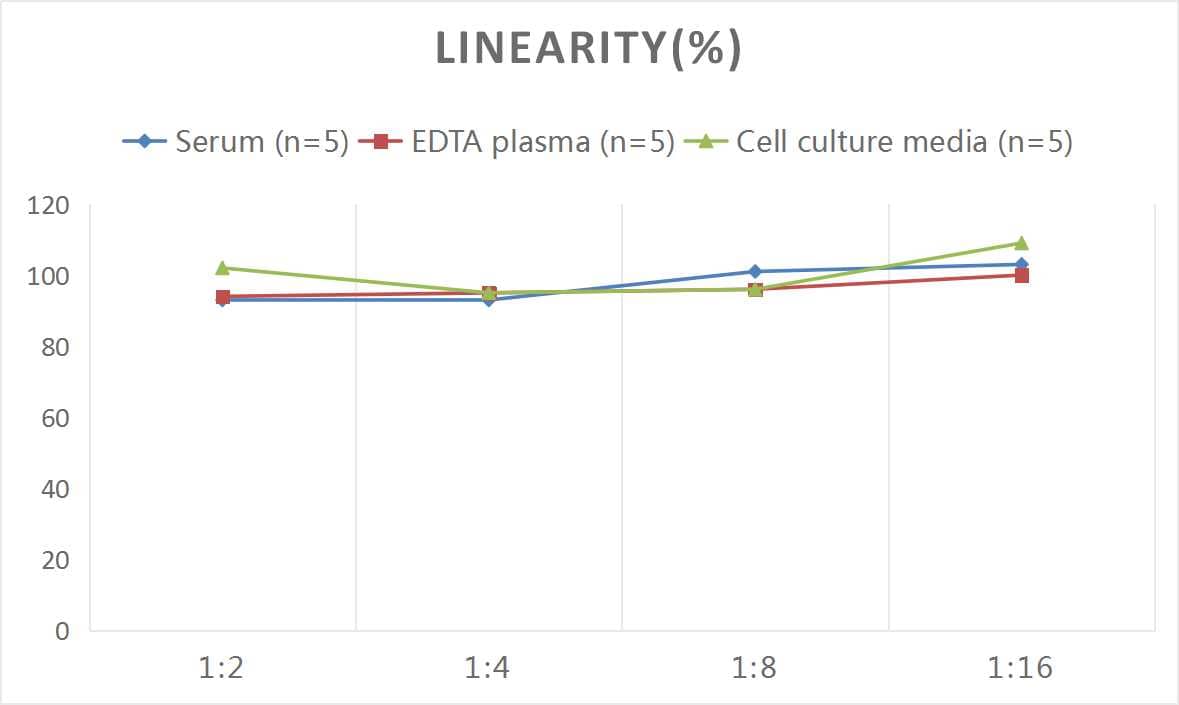 Human TLR9 ELISA Kit (Chemiluminescence)