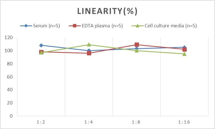 Human HSP40/DNAJB1 ELISA Kit (Chemiluminescence)