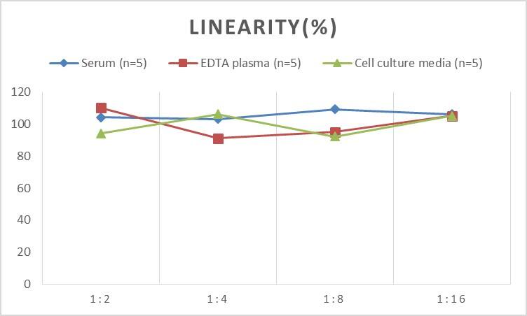 Rat HSP40/DNAJB1 ELISA Kit (Chemiluminescence)