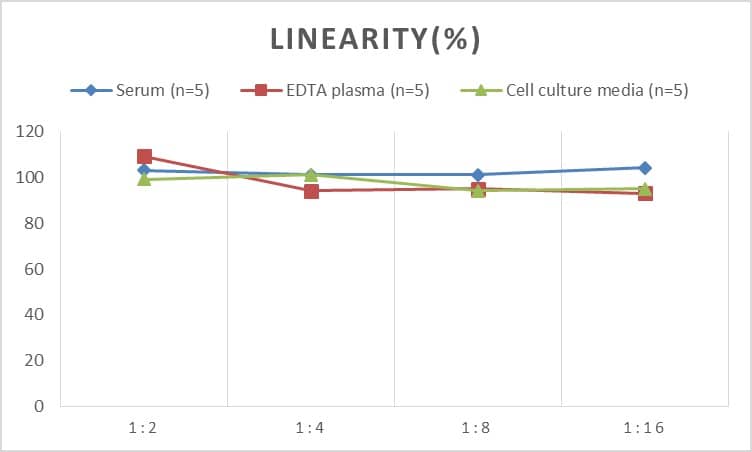 Rat HSP60 ELISA Kit (Chemiluminescence)