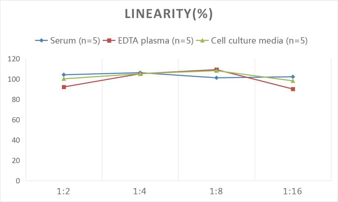 Human HSP90 ELISA Kit (Chemiluminescence)