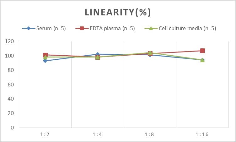 Rat HSP90 ELISA Kit (Chemiluminescence)