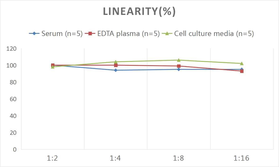 Rat Neuropeptide Y ELISA Kit (Colorimetric)