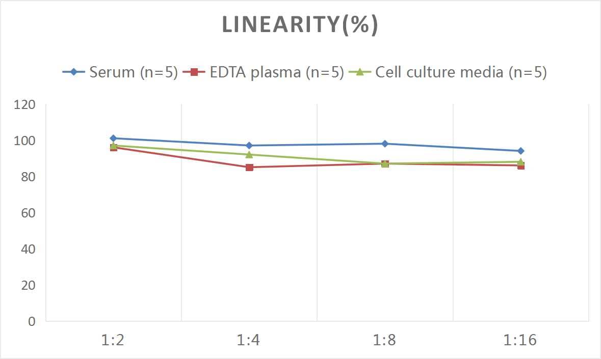 Rat SP-D ELISA Kit (Colorimetric)