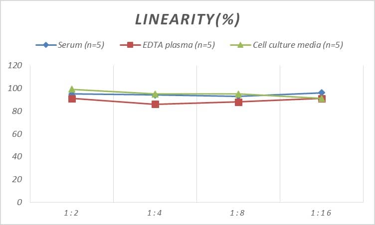 Rat SP-B/Surfactant Protein B ELISA Kit (Colorimetric)