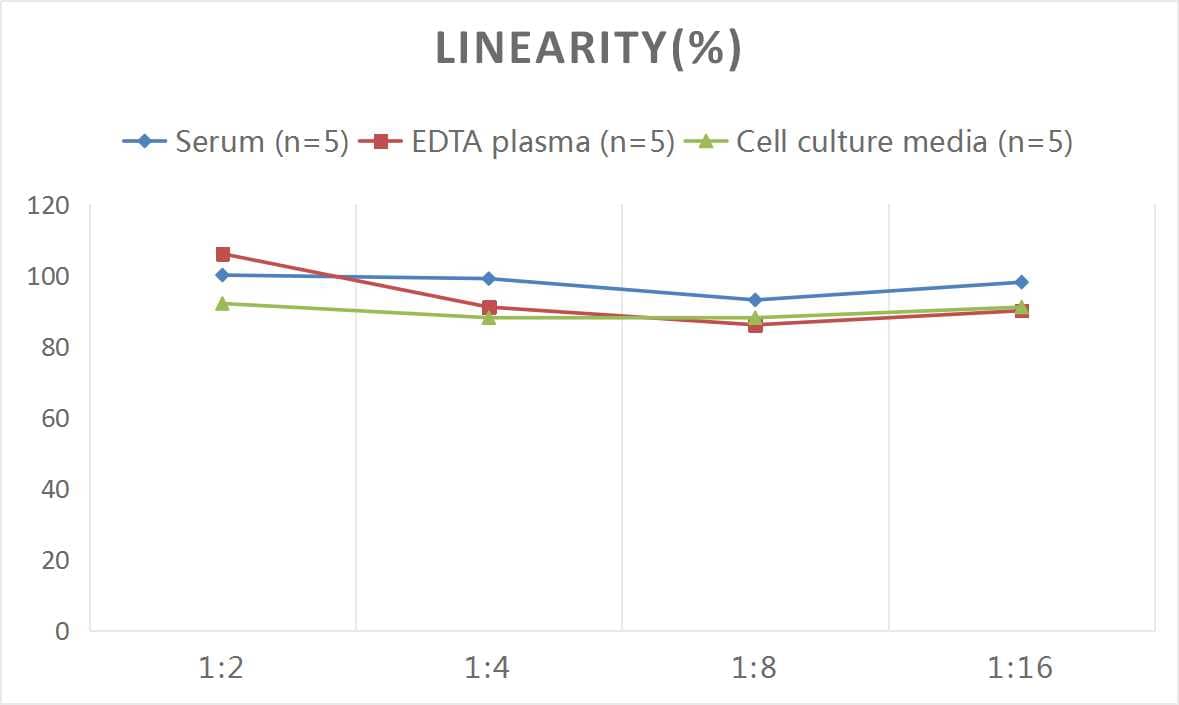 Rat Surfactant Protein A ELISA Kit (Colorimetric)