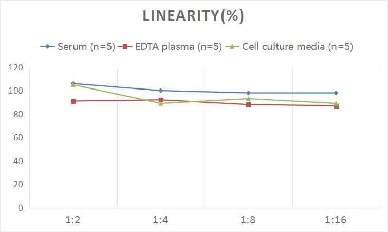 Human SPARC-like 1/SPARCL1 ELISA Kit (Colorimetric)