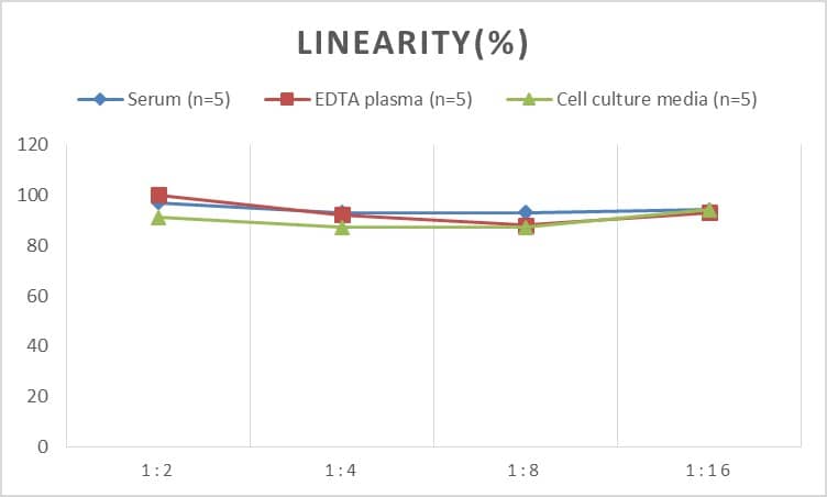 Mouse SPARC-like 1/SPARCL1 ELISA Kit (Colorimetric)