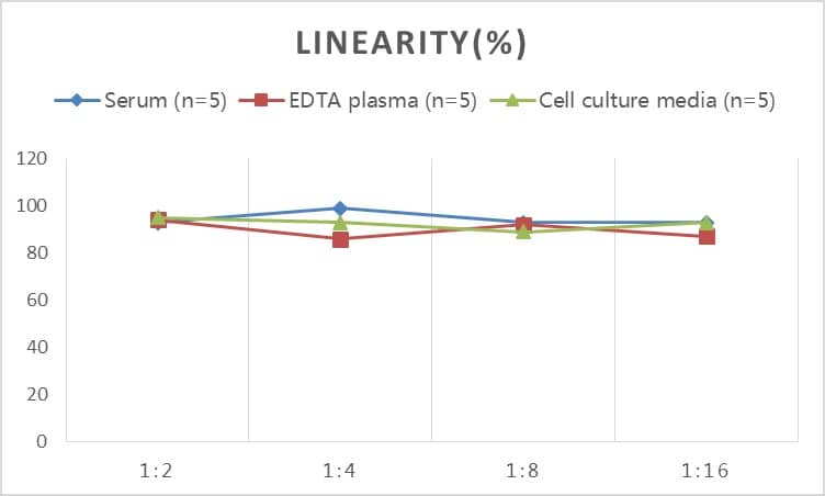 Mouse MUC1 ELISA Kit (Colorimetric)