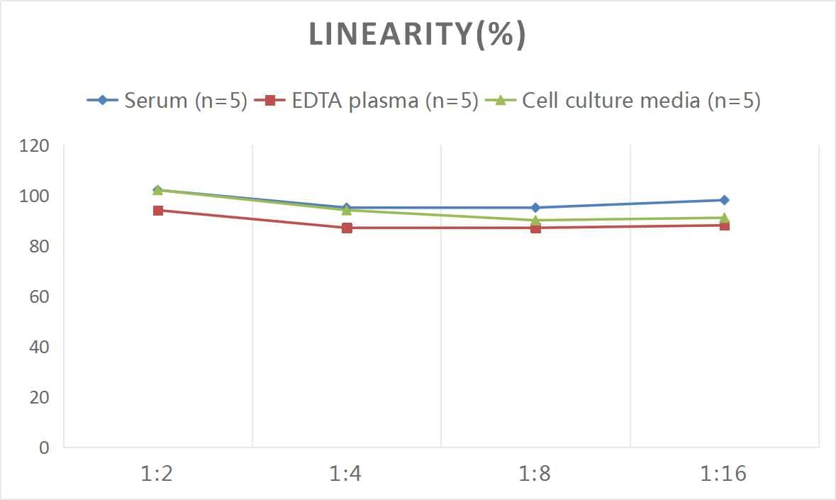 Rat MUC2 ELISA Kit (Colorimetric)