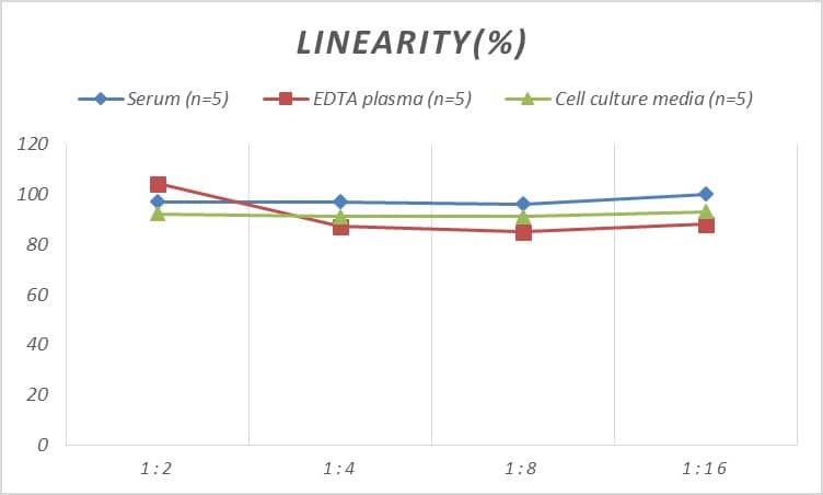 Human MUC20 ELISA Kit (Colorimetric)