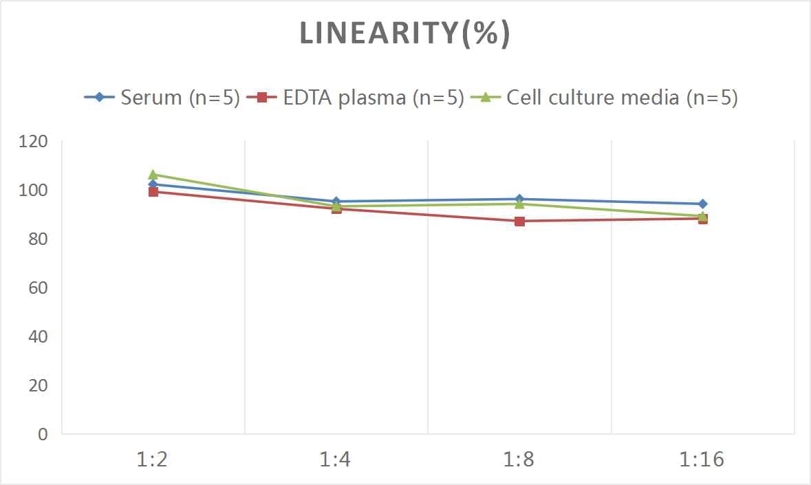 Human MUC5AC ELISA Kit (Colorimetric)