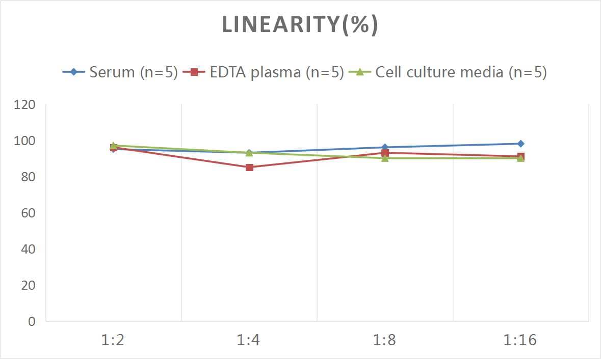 Human MUC5B ELISA Kit (Colorimetric)