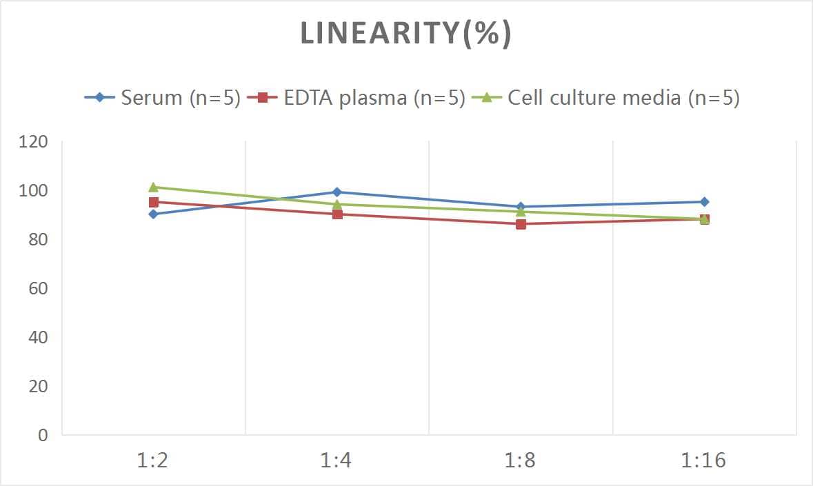 Mouse MUC5B ELISA Kit (Colorimetric)