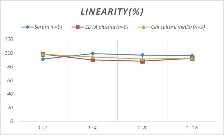 Human MTR ELISA Kit (Colorimetric)