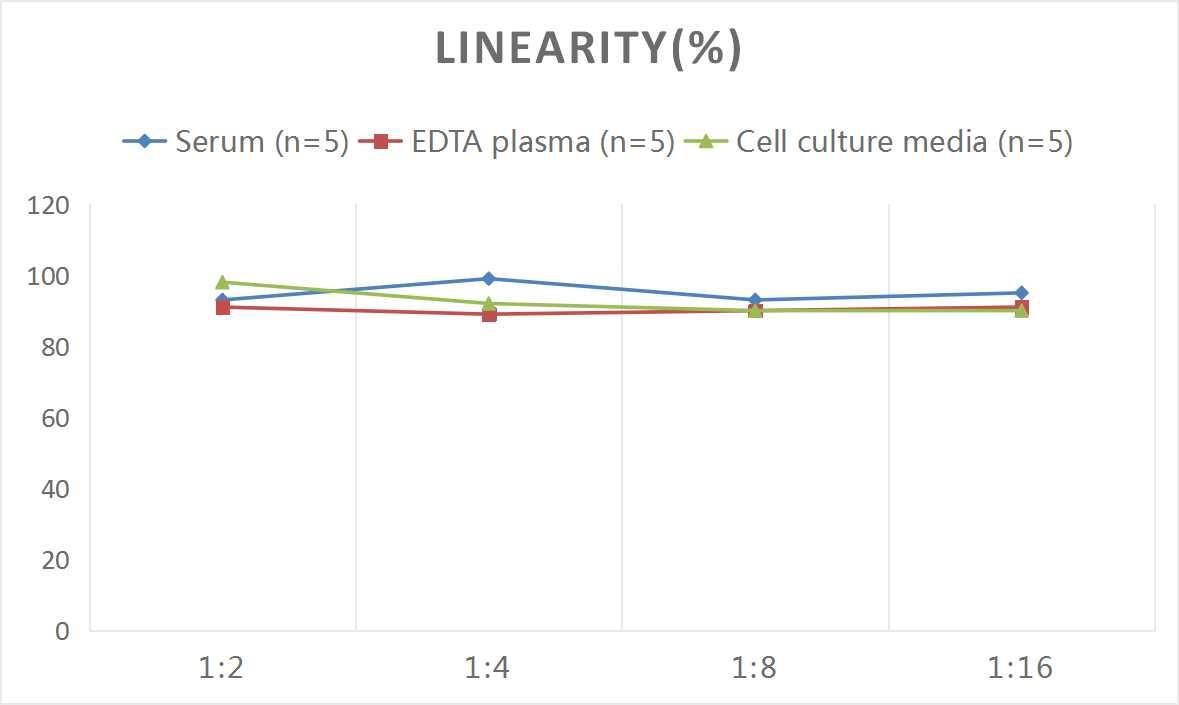 Human PBEF/Visfatin/NAMPT ELISA Kit (Colorimetric)