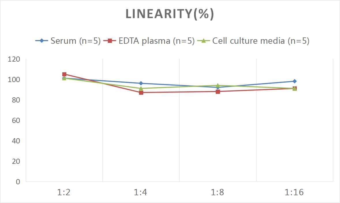 Rat PBEF/Visfatin/NAMPT ELISA Kit (Colorimetric)