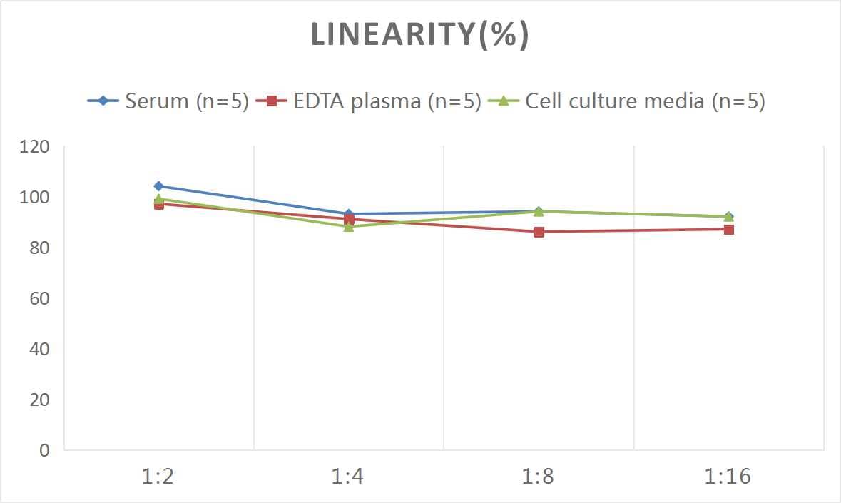 Mouse Peptide YY ELISA Kit (Colorimetric)