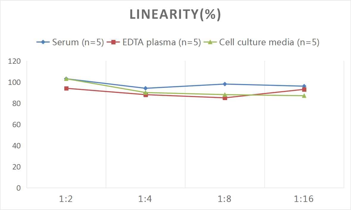 Rat Peptide YY ELISA Kit (Colorimetric)