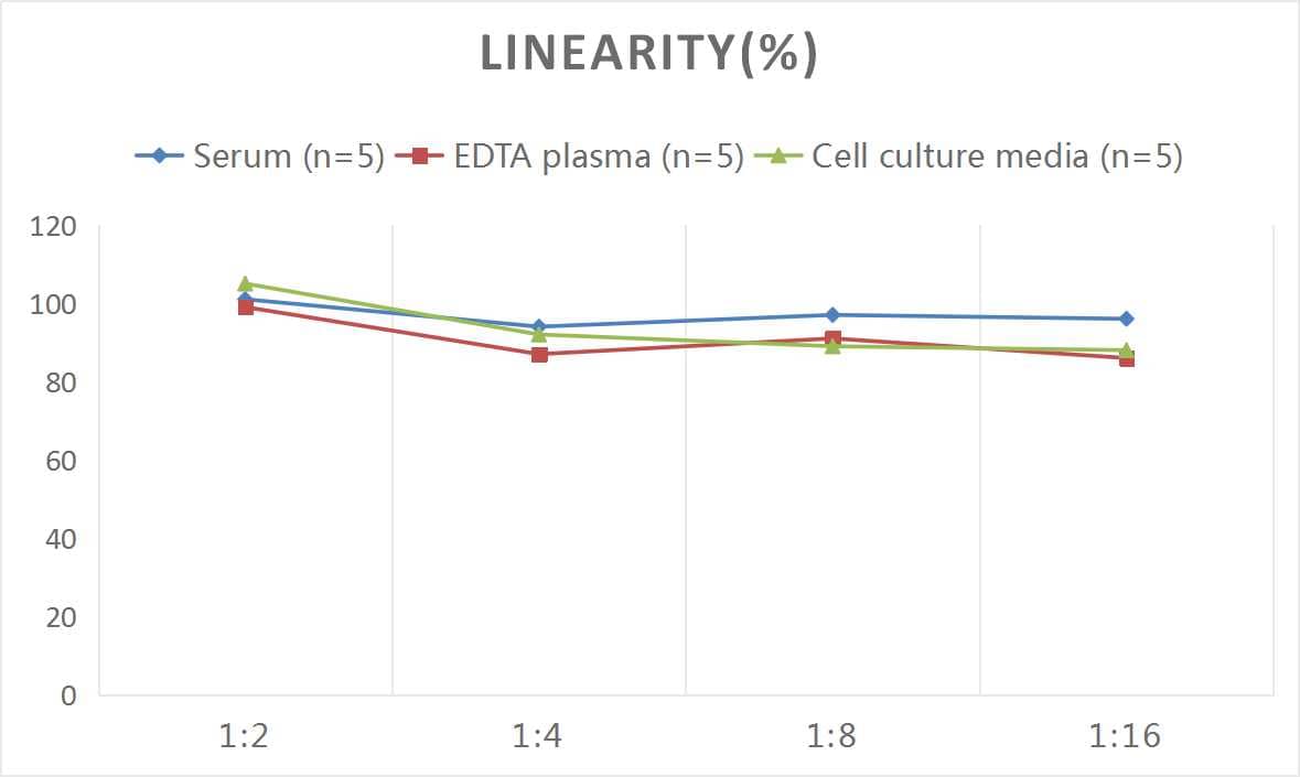 Rat Tau [p Ser610] ELISA Kit (Colorimetric)