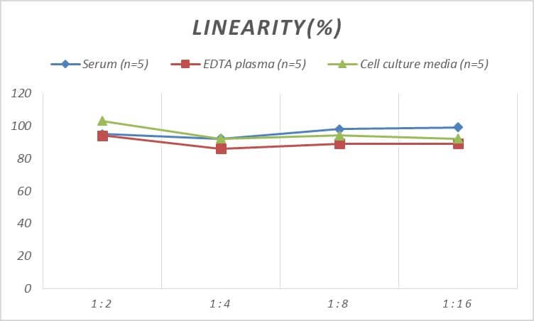 Human Galectin-14/LGALS14 ELISA Kit (Colorimetric)