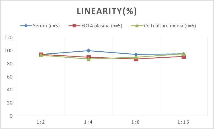 Rat Galanin R3/GALR3 ELISA Kit (Colorimetric)