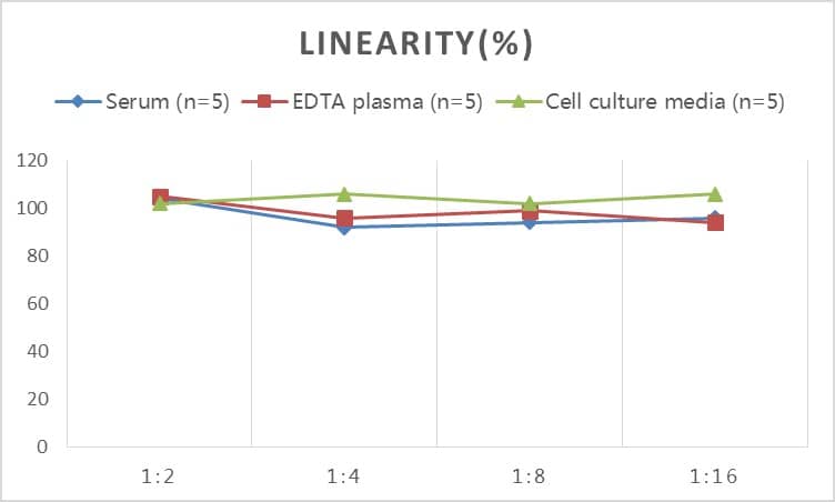 Human Amylin ELISA Kit (Colorimetric)