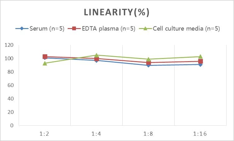 Mouse Amylin ELISA Kit (Colorimetric)