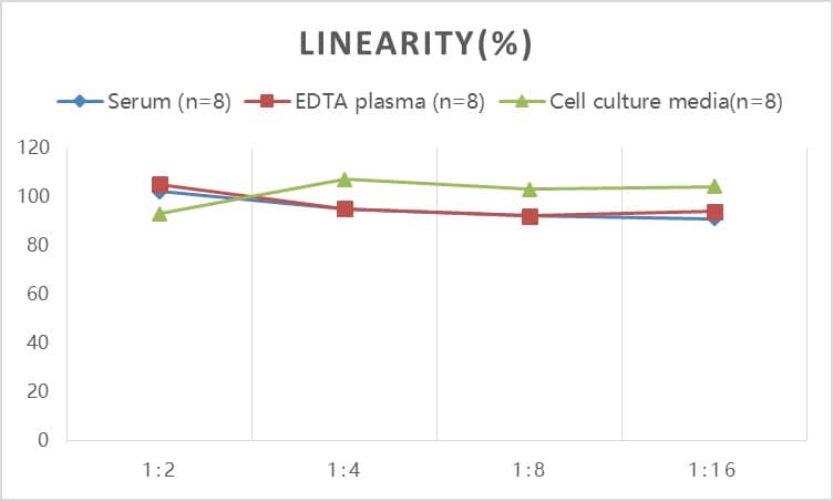 Rat Amylin ELISA Kit (Colorimetric)