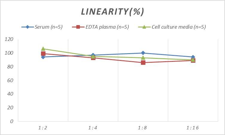 Mouse SAA2 ELISA Kit (Colorimetric)