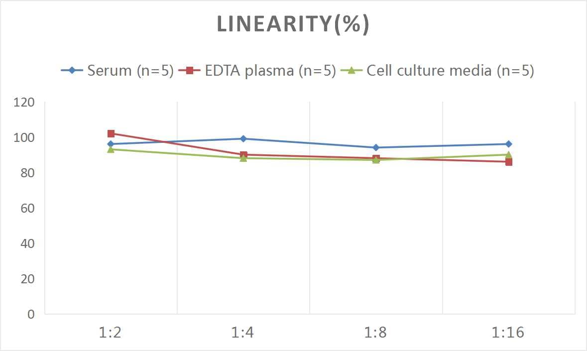 Human Serum Amyloid A4 ELISA Kit (Colorimetric)