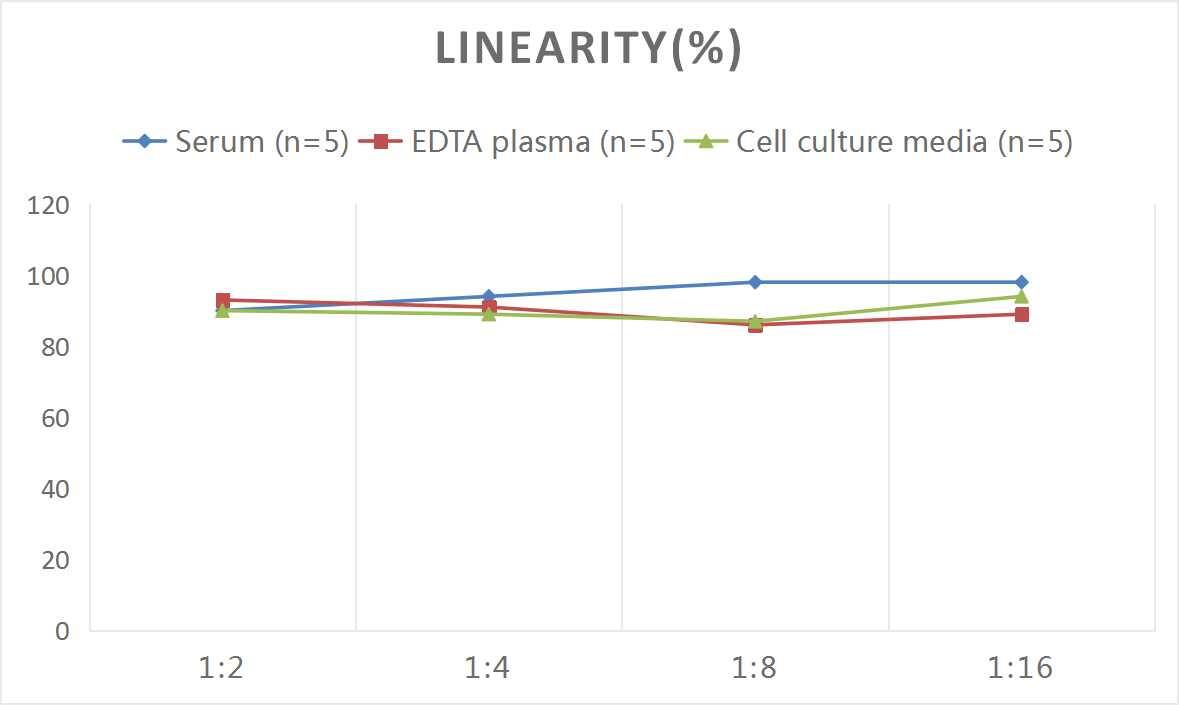 Human Neuroglobin ELISA Kit (Colorimetric)