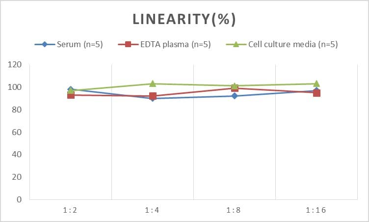 Human Neurokinin B ELISA Kit (Colorimetric)