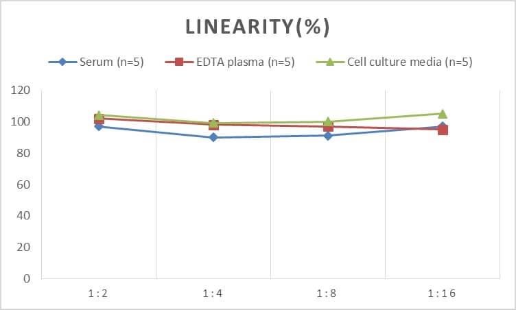 Human Neurokinin A ELISA Kit (Colorimetric)