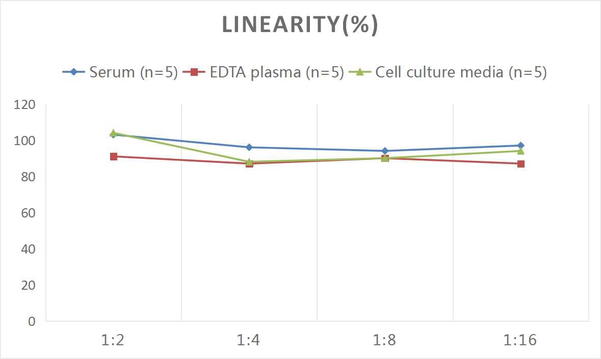 Human NOX1 ELISA Kit (Colorimetric)